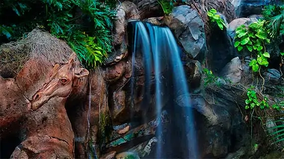 Discovery Island Trails Discovery Island Trails