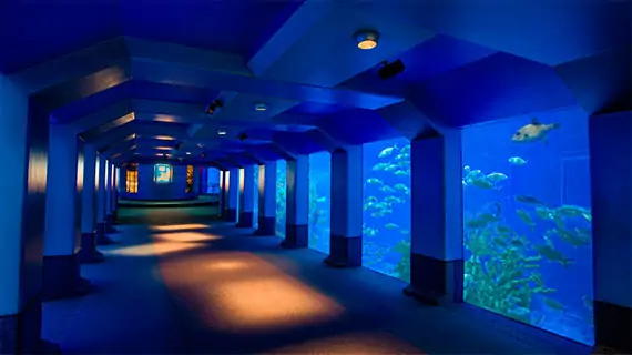 SeaBase SeaBase
