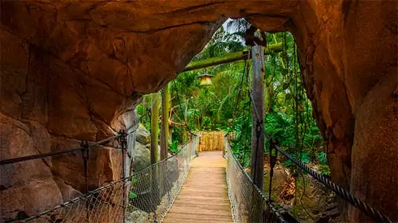 The Oasis Exhibits The Oasis Exhibits