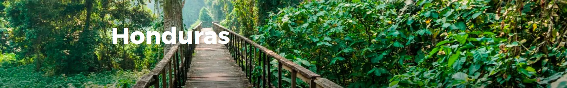Civitatis. Tours en Honduras