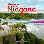 Magia invernal en Niágara